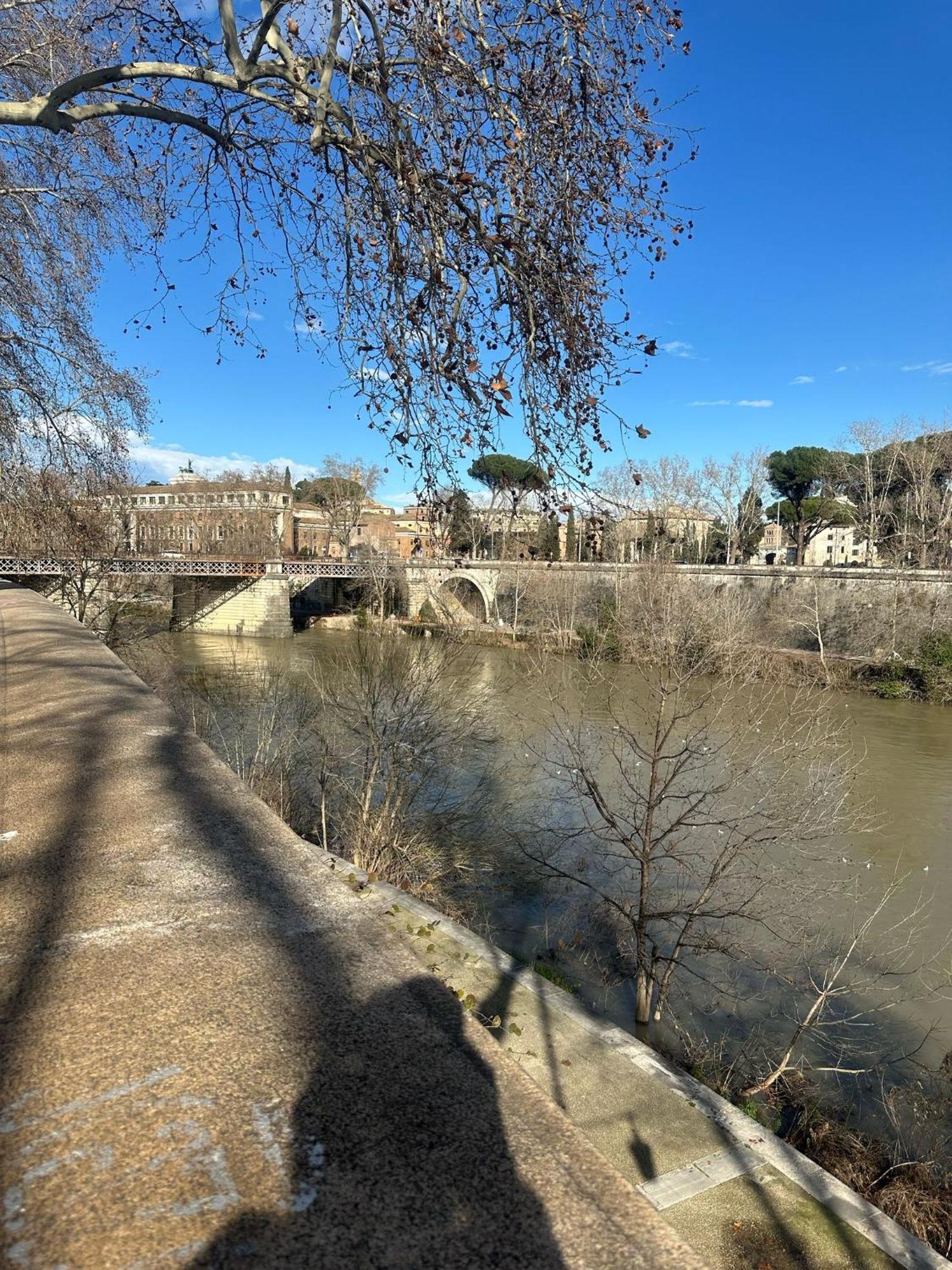 Trastevere Rome'S Heart Charming & Cozy Appartment 3 외부 사진
